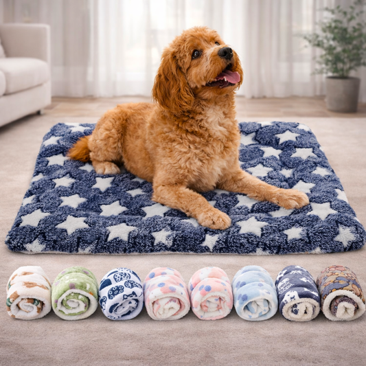 Dog lying on a blue star-patterned fleece Flannel Pet sleeping Mat with rolled-up mats of various patterns displayed below.