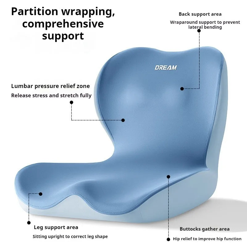 Blue ergonomic chair with labeled support areas on a white background
